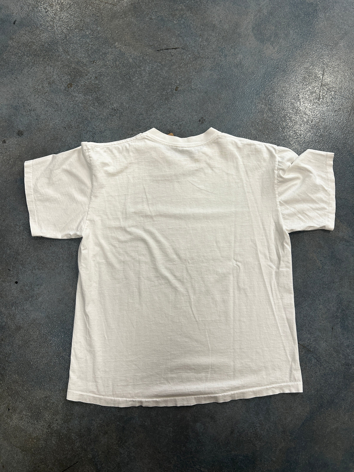 Fishes eating Human Tee OTF