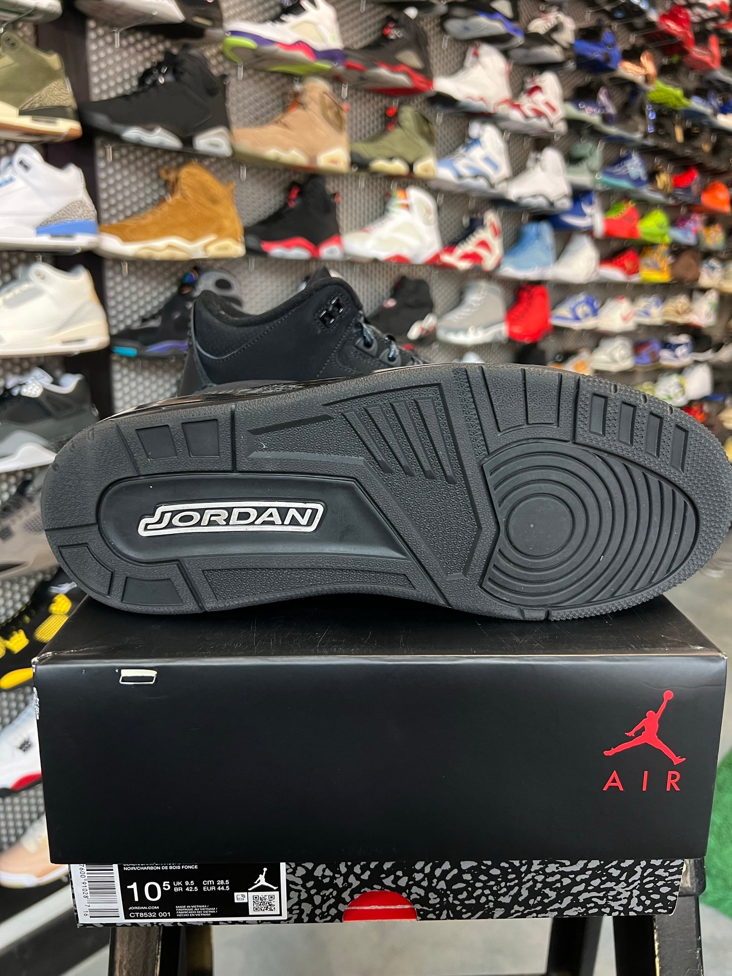 Jordan 3 Retro Black Cat (2025)