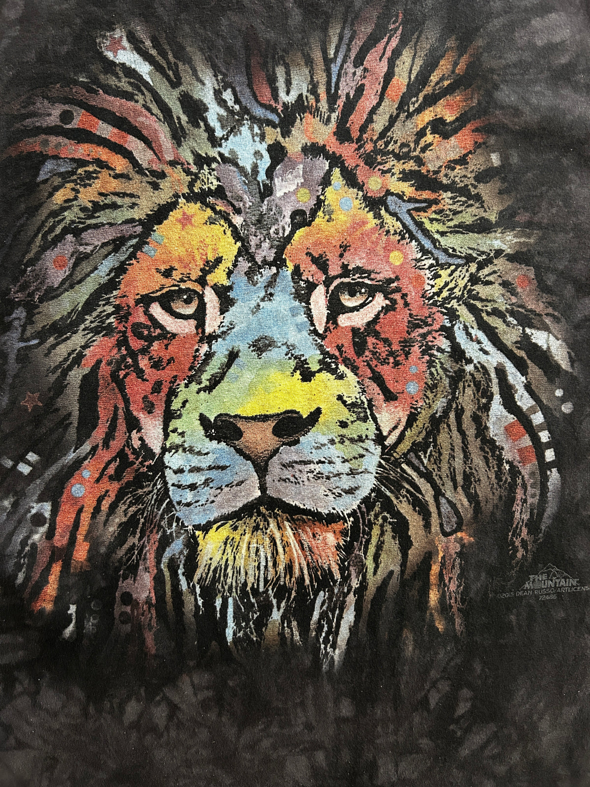 Vintage The Mountains Rainbow Lion Black Tee