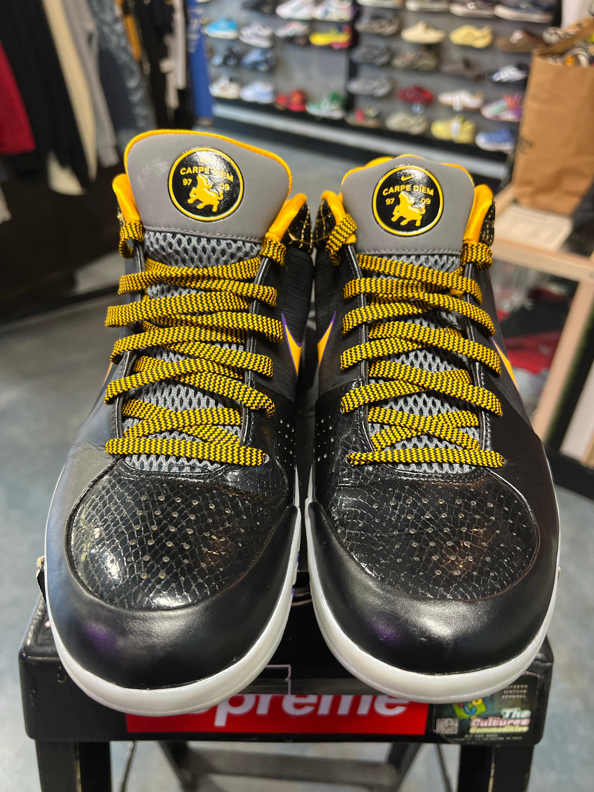 Nike Kobe 4 Protro Carpe Diem
