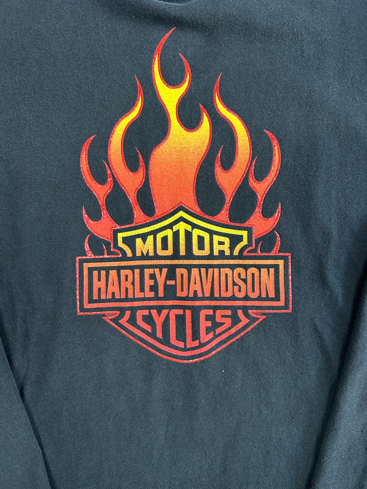 Vintage 1999 Harley Davidson Texas H-D Vintage Long Sleeve Black Tee
