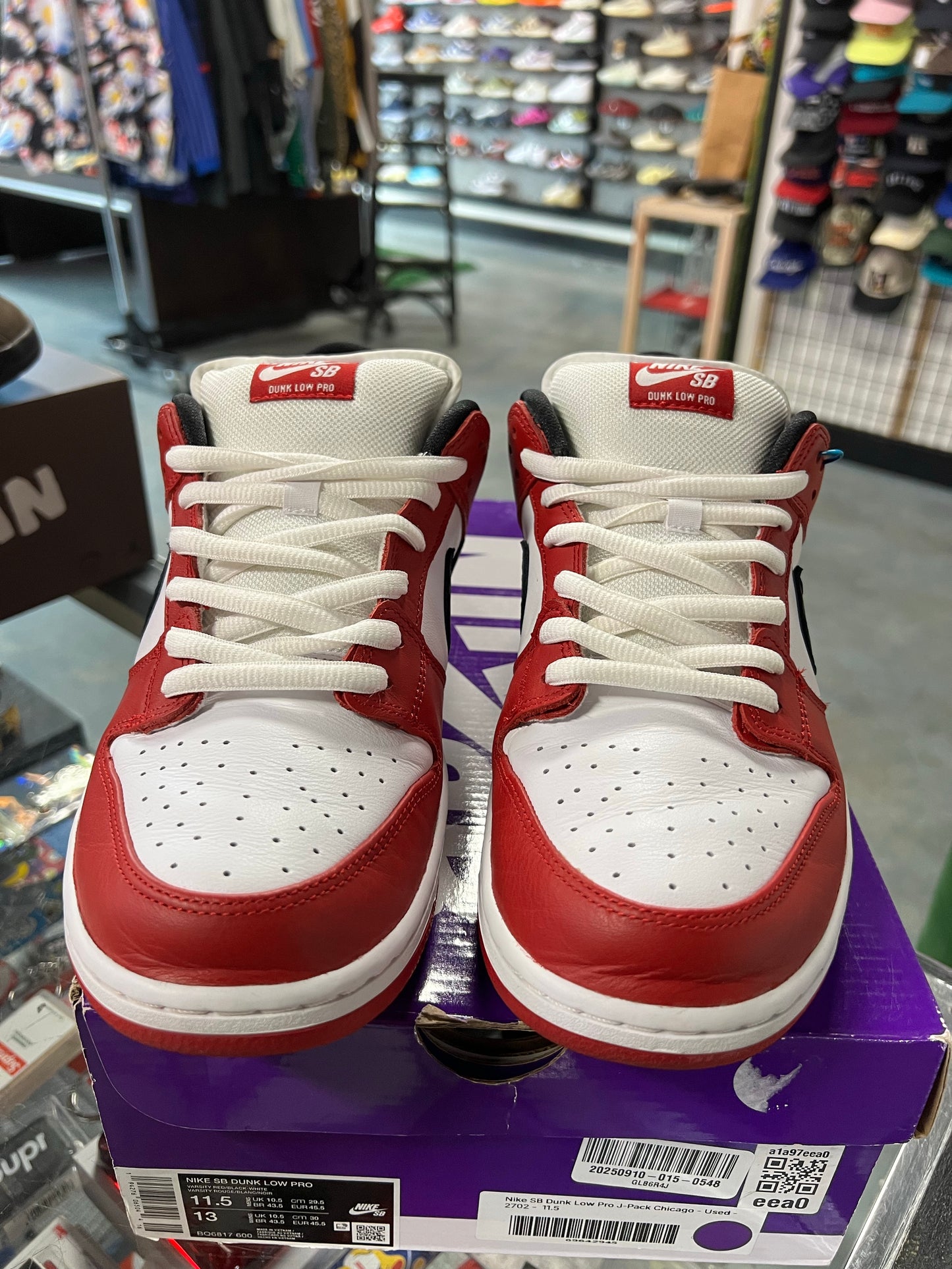 Nike SB Dunk Low Pro J-Pack Chicago