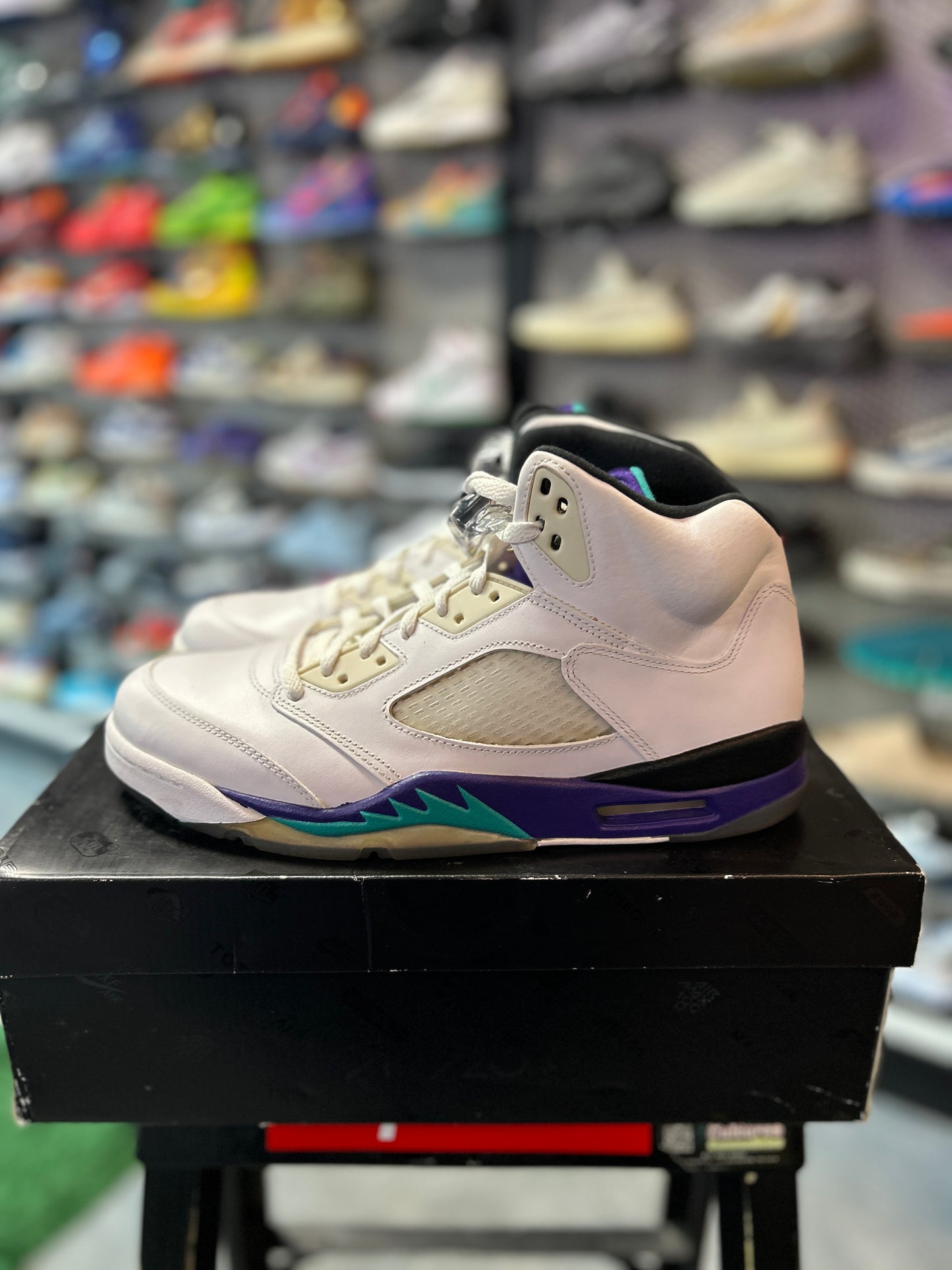 Jordan 5 Retro Grape (2013) Preowned