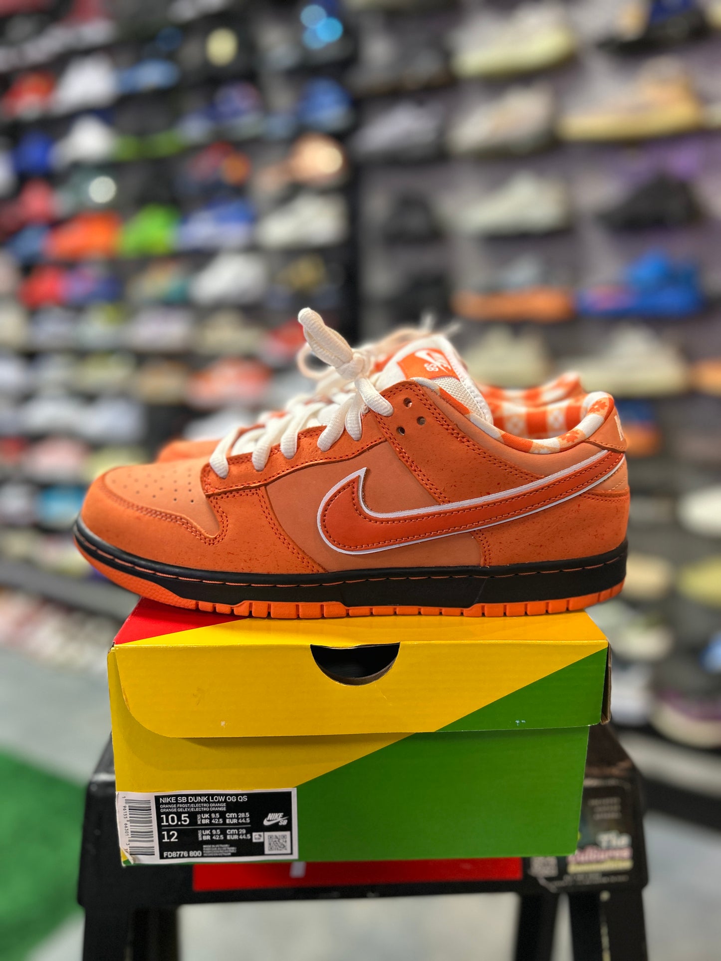 Nike SB Dunk Low Concepts Orange Lobster (Special Box)