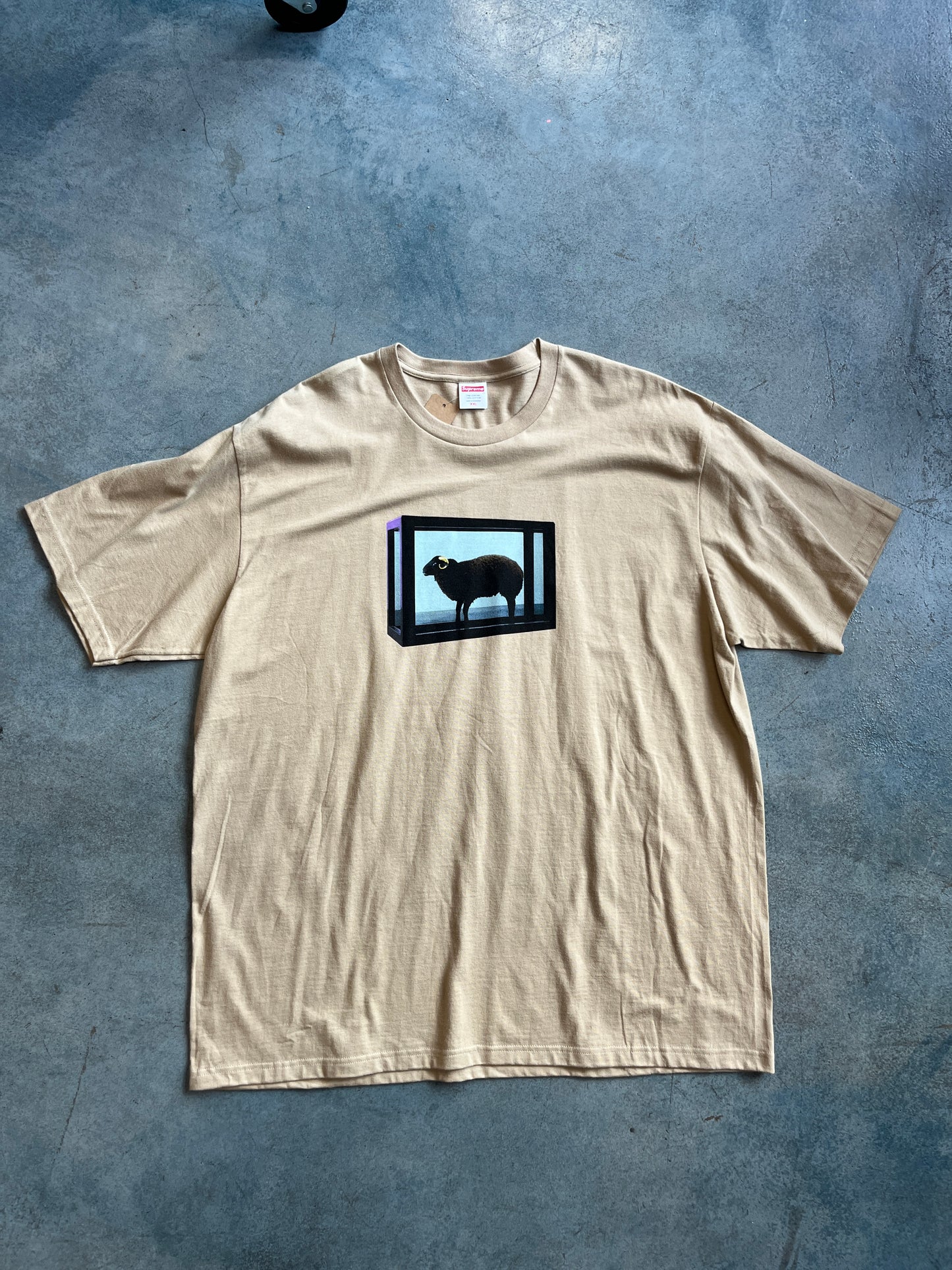 Supreme Black Sheep Tee SS25 (Tan) OTF