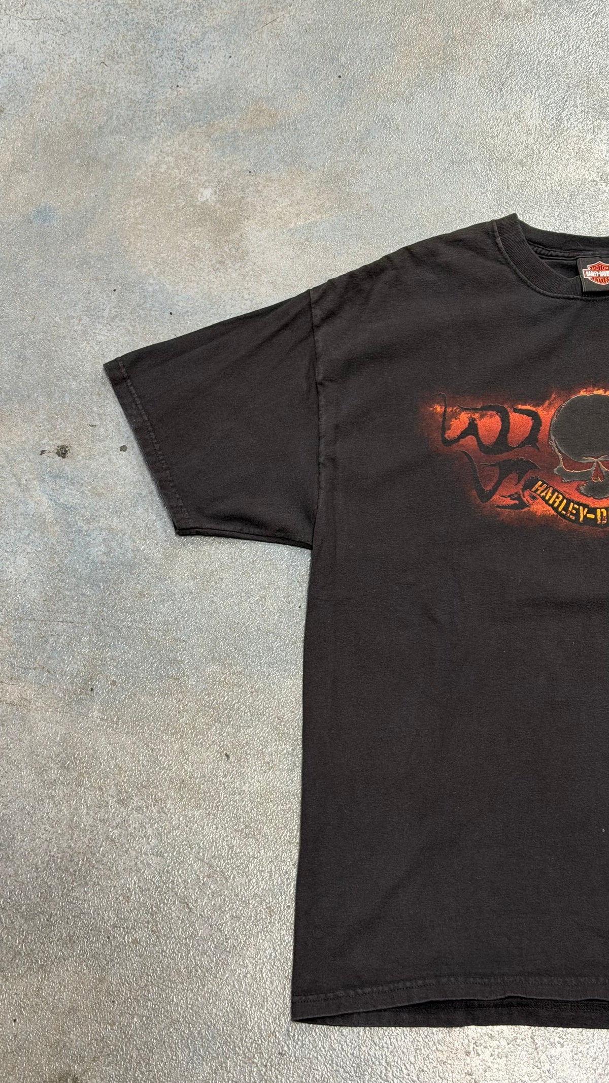 Vintage Harley Davidson Skull Crow River Delano, MM  Black Tee