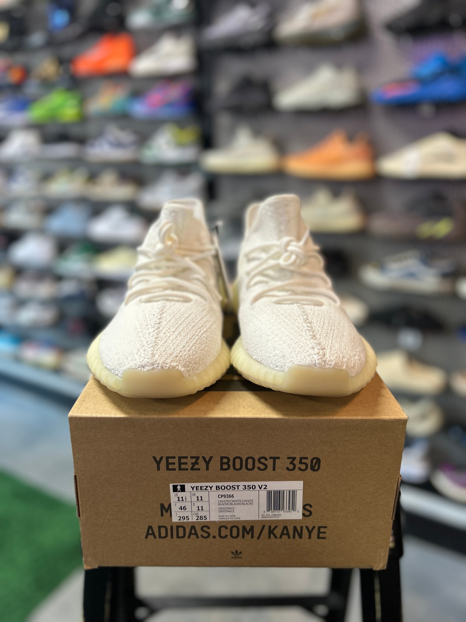 adidas Yeezy Boost 350 V2 Cream Tried On (RCC)