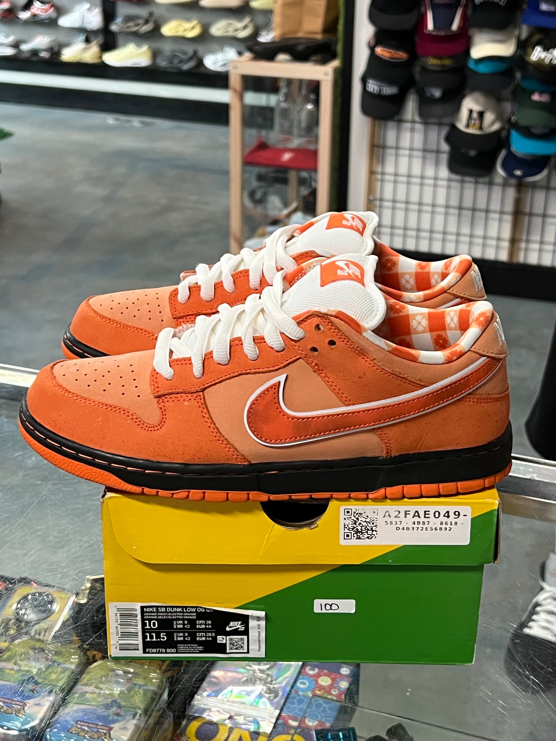 Nike SB Dunk Low Concepts Orange Lobster
