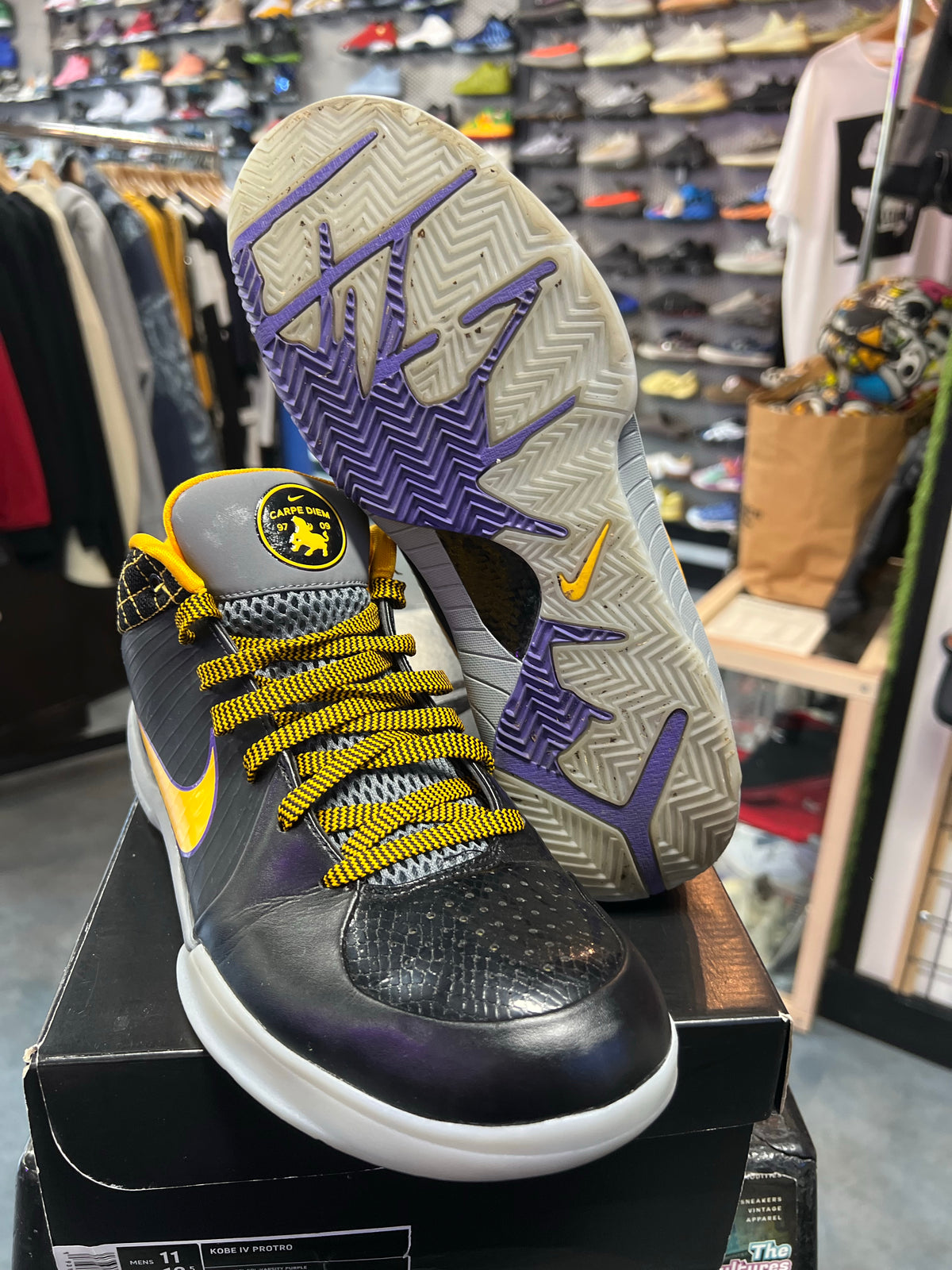 Nike Kobe 4 Protro Carpe Diem