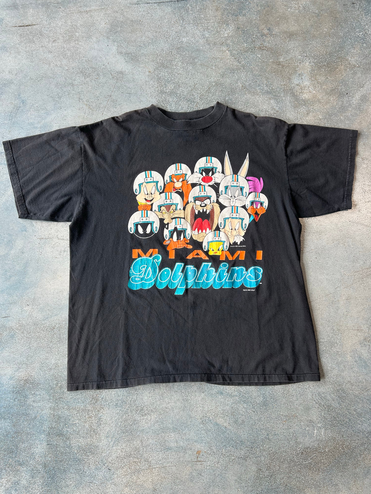 Vintage Miami Dolphins Looney Toons Team OTF