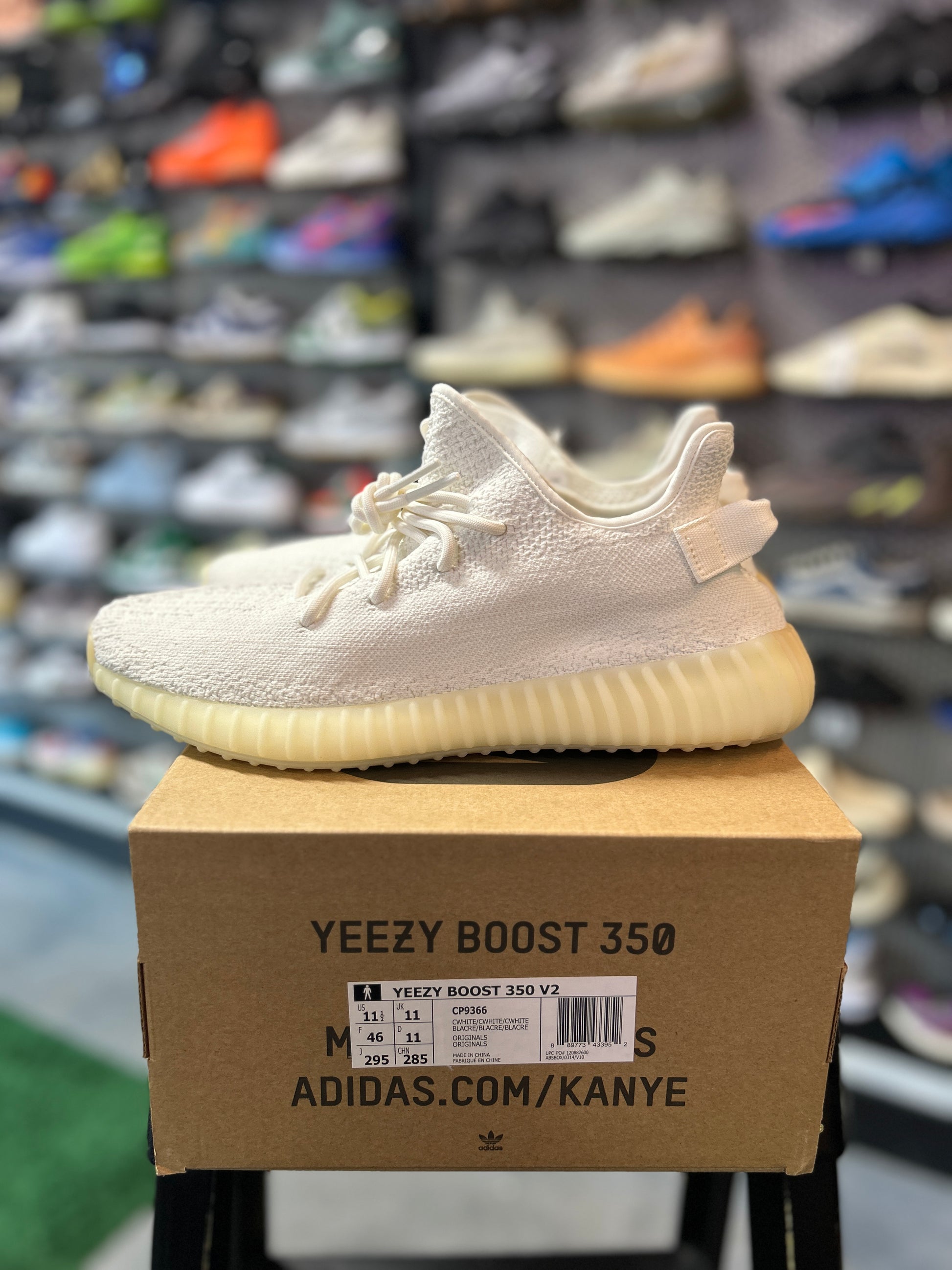 adidas Yeezy Boost 350 V2 Cream Tried On (RCC)
