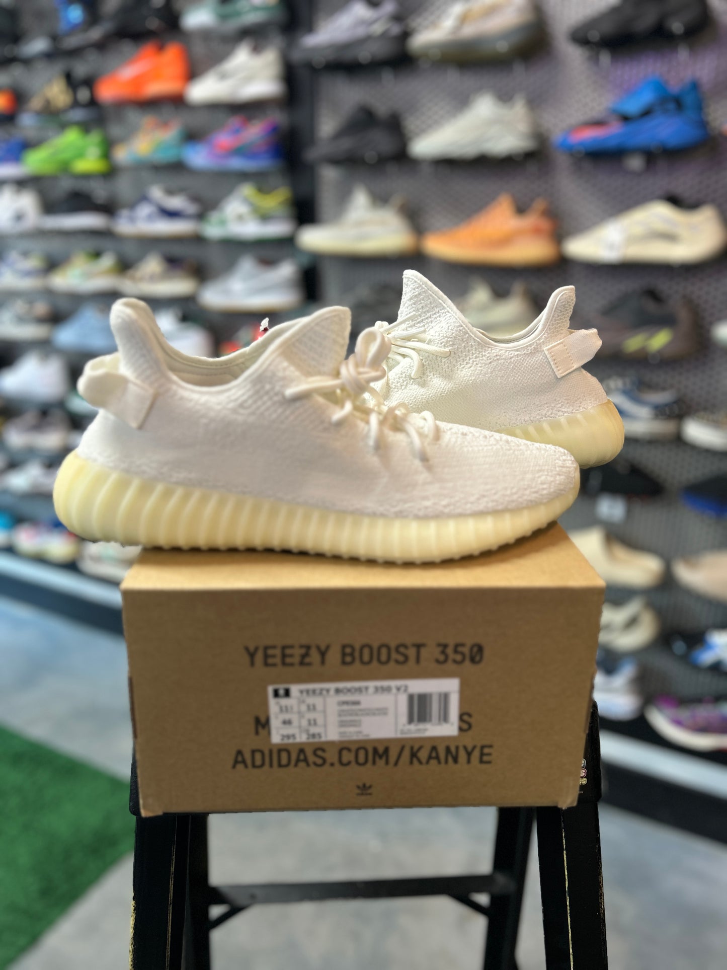adidas Yeezy Boost 350 V2 Cream Tried On (RCC)