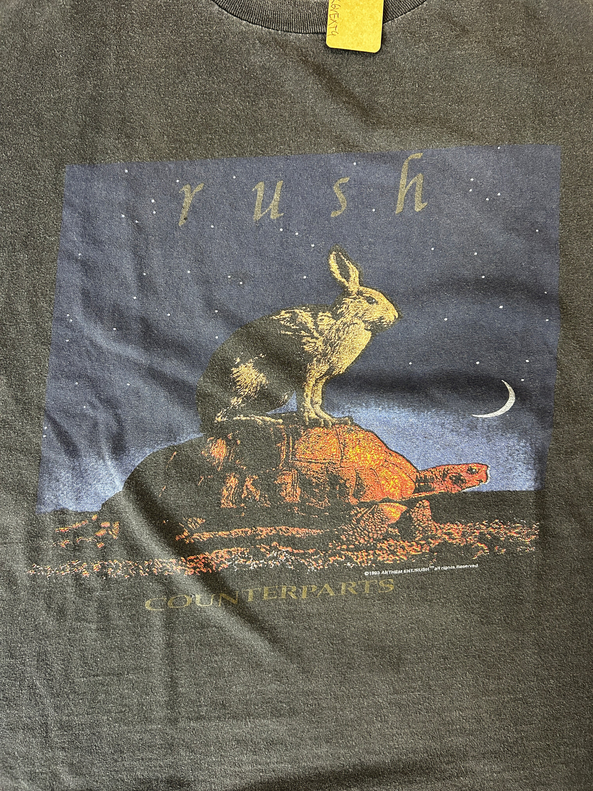 Vintage Rush Counterparts Shirt 1993 1994 Tour Band Tee 90s Faded Tortoise Hare (SC) B66