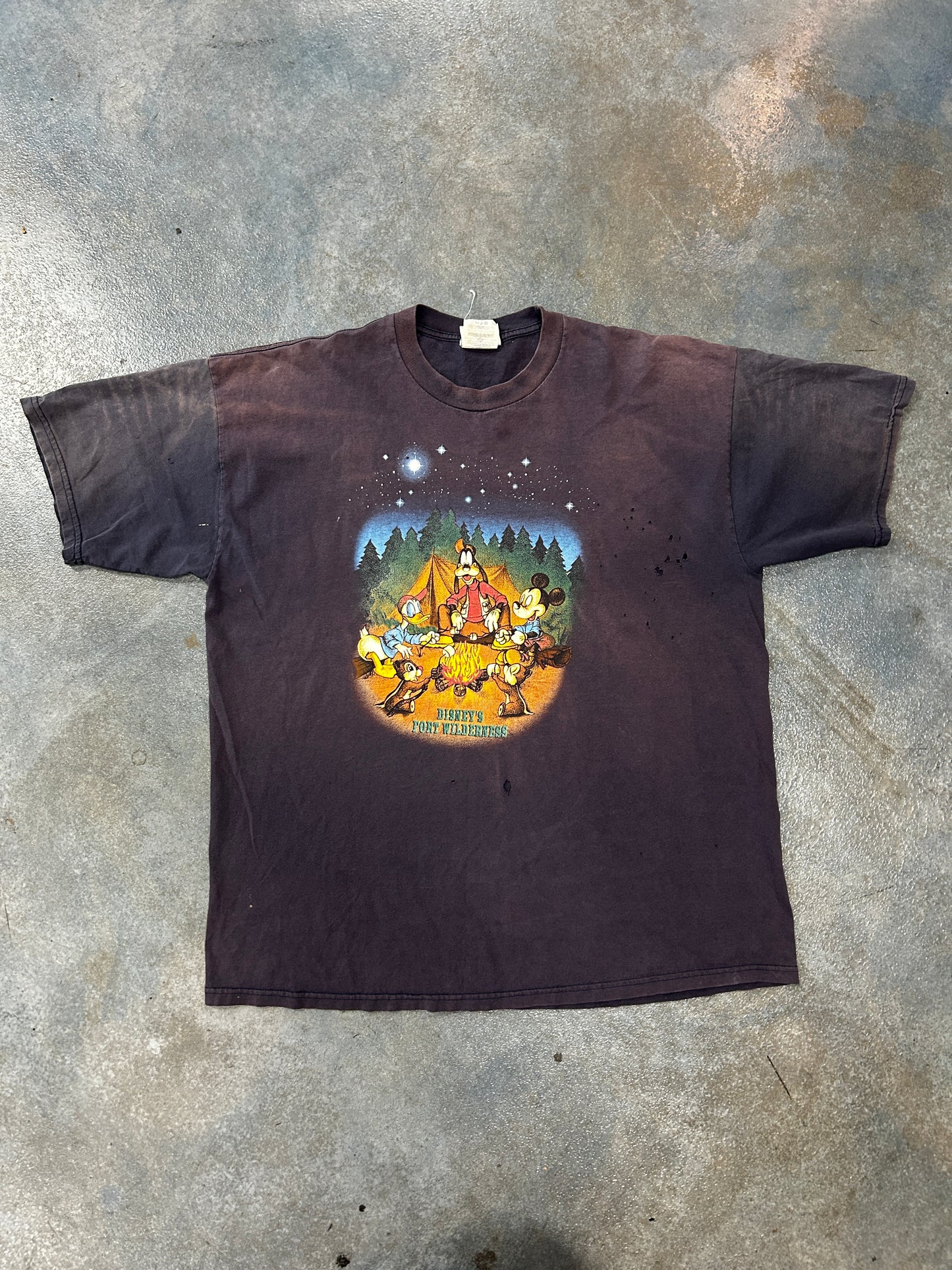 Walt Disney World "Disney's Fort Wilderness"  (RI.AC) B61