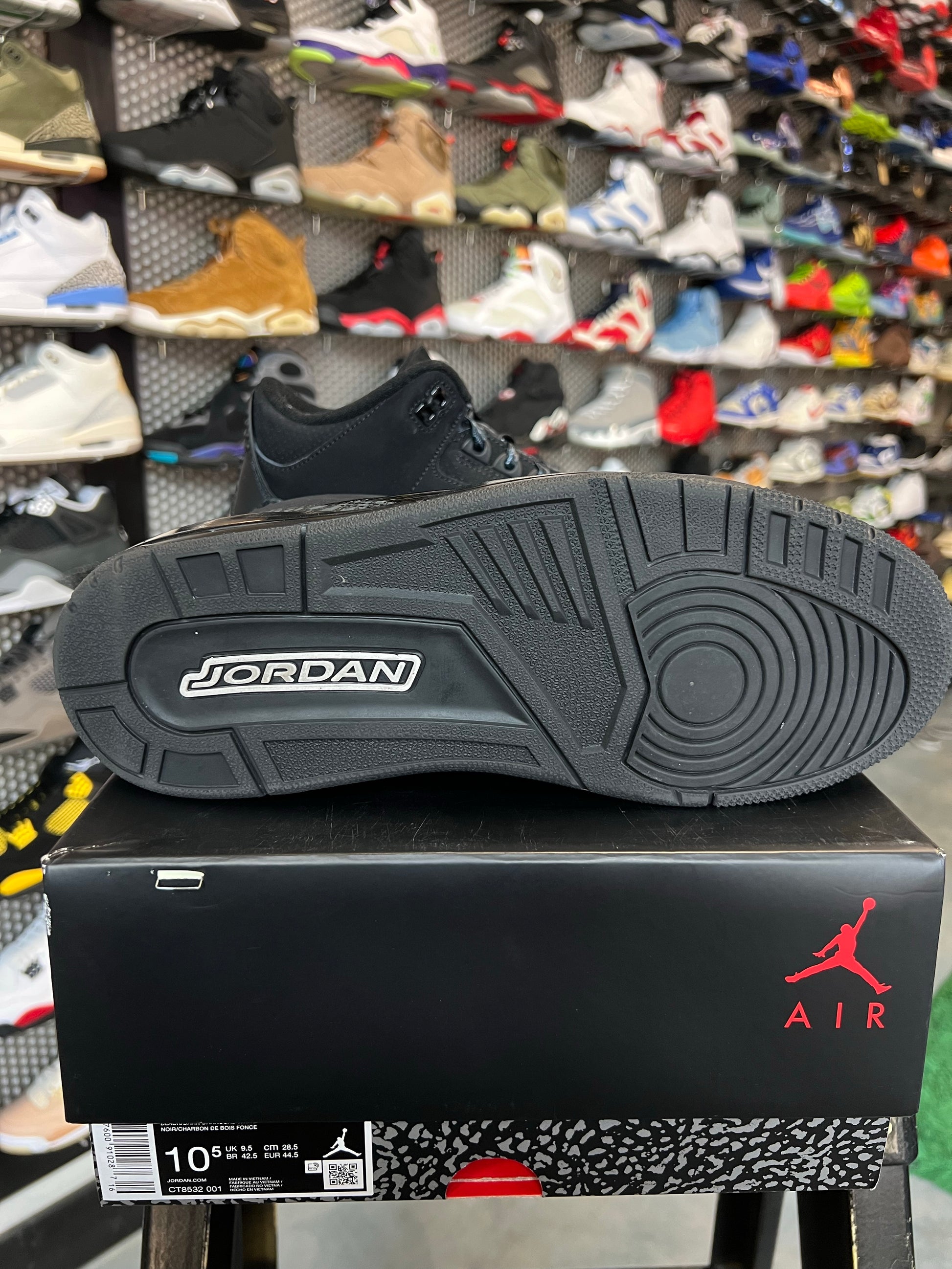 Jordan 3 Retro Black Cat (2025)