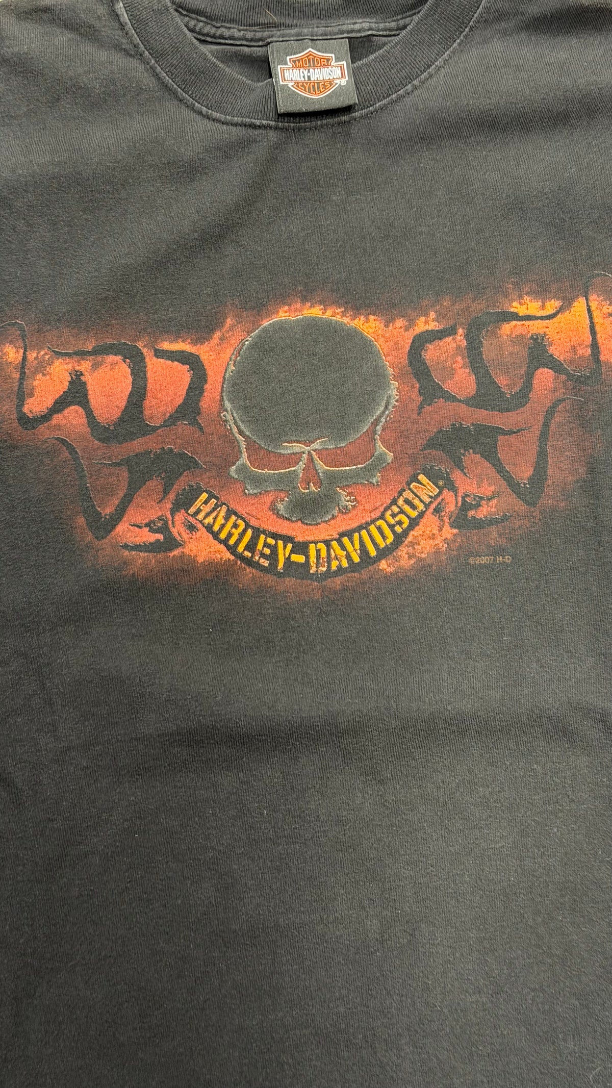 Vintage Harley Davidson Skull Crow River Delano, MM  Black Tee