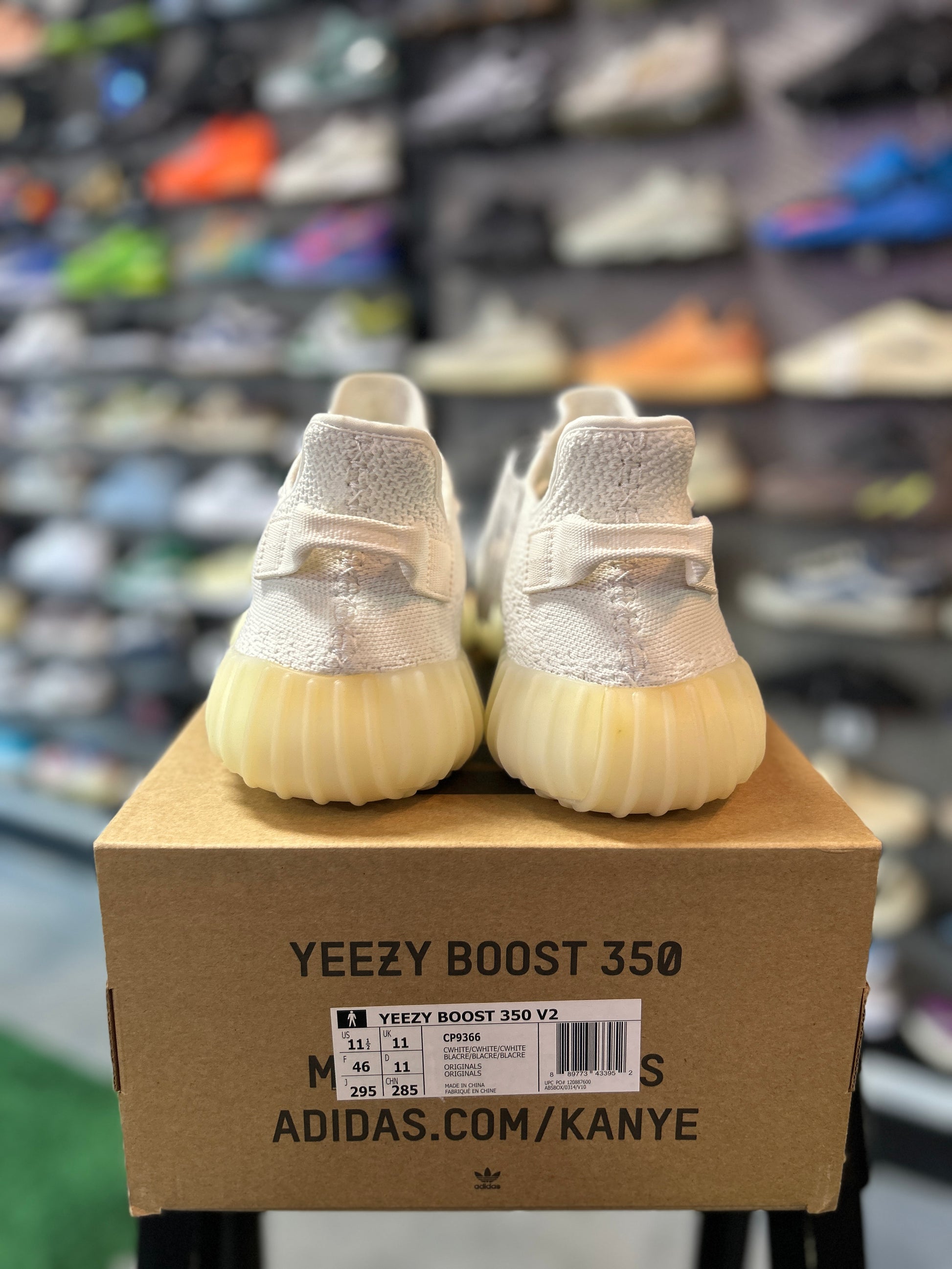 adidas Yeezy Boost 350 V2 Cream Tried On (RCC)