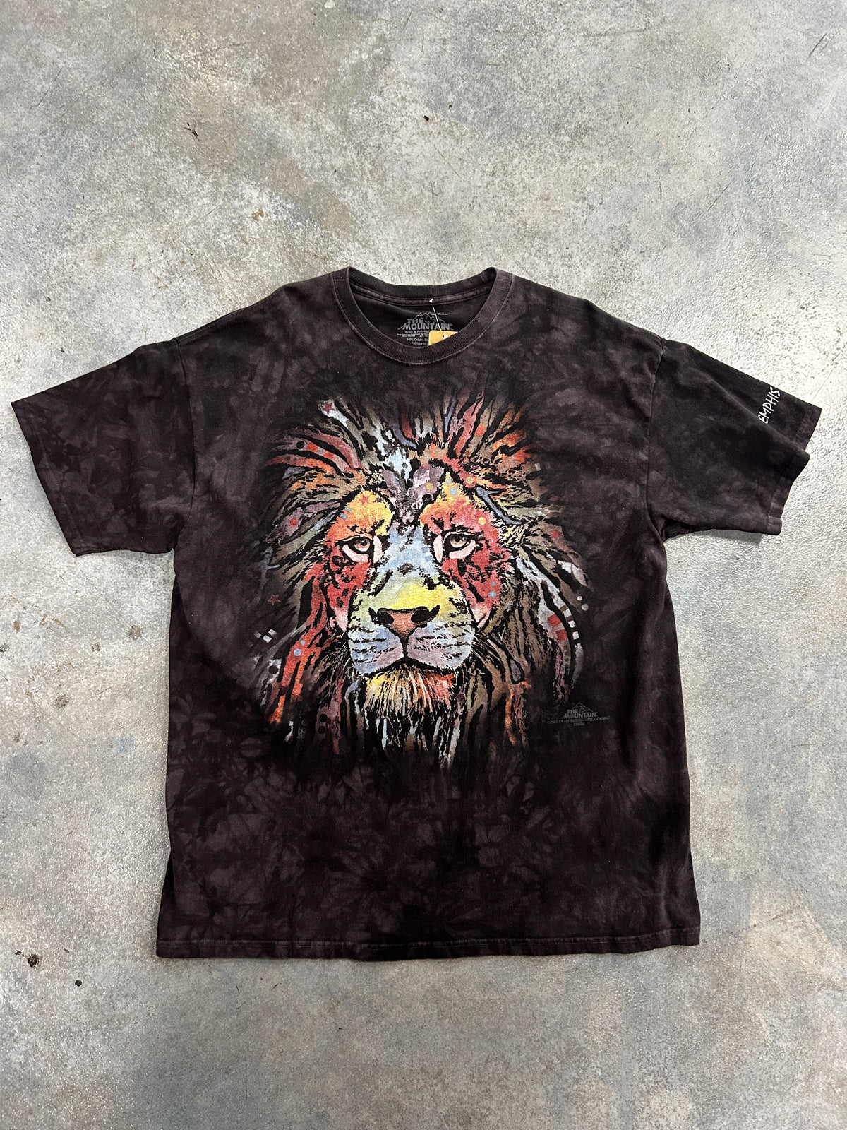 Vintage The Mountains Rainbow Lion Black Tee