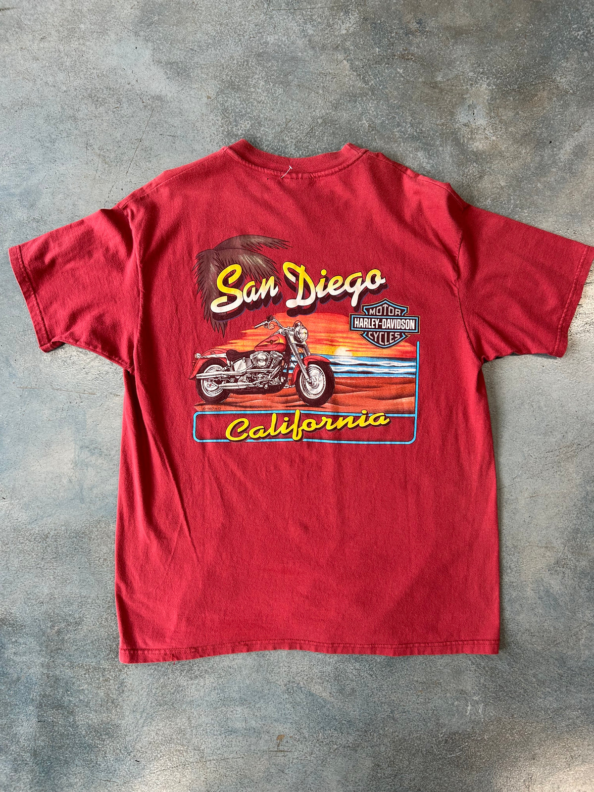Harley Davidson Ride with the Wind eagle Tee OTF