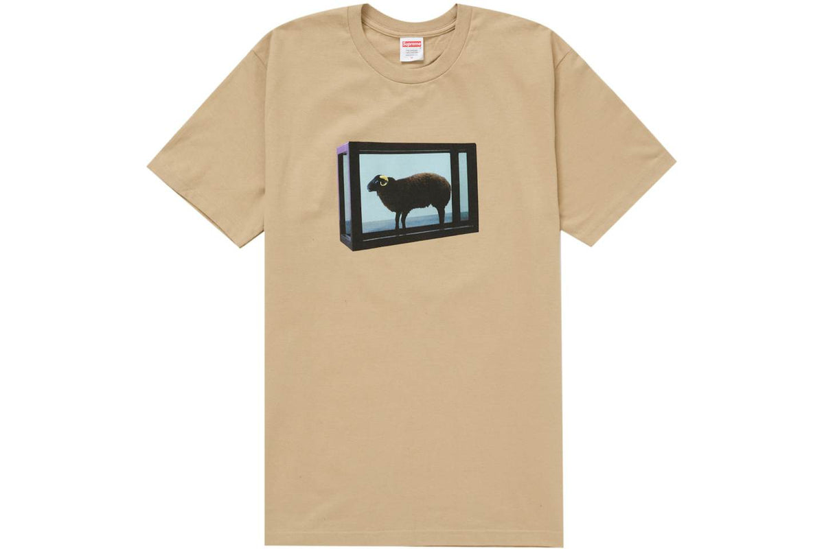 Supreme Black Sheep Tee SS25 (Tan)