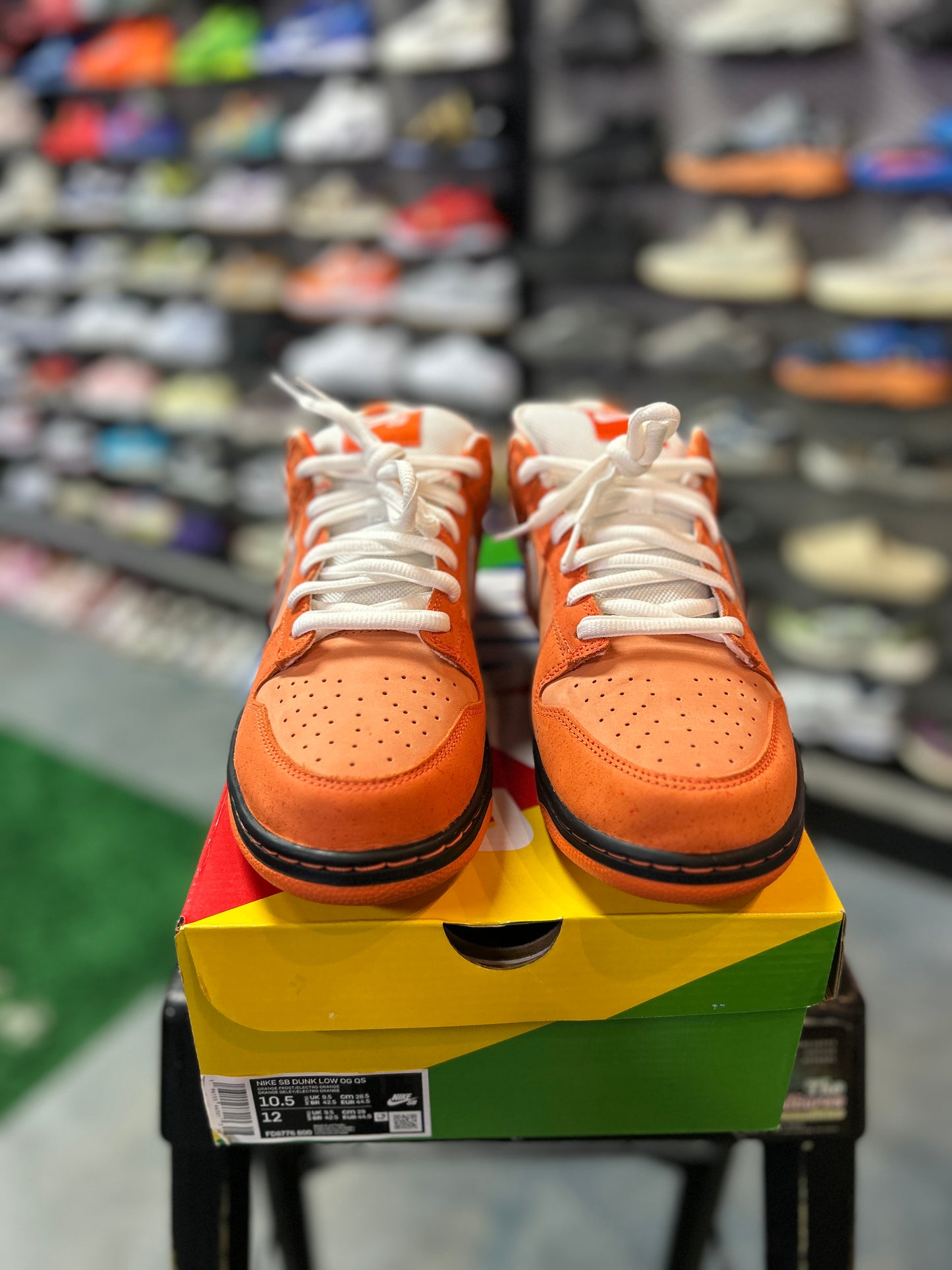 Nike SB Dunk Low Concepts Orange Lobster (Special Box)