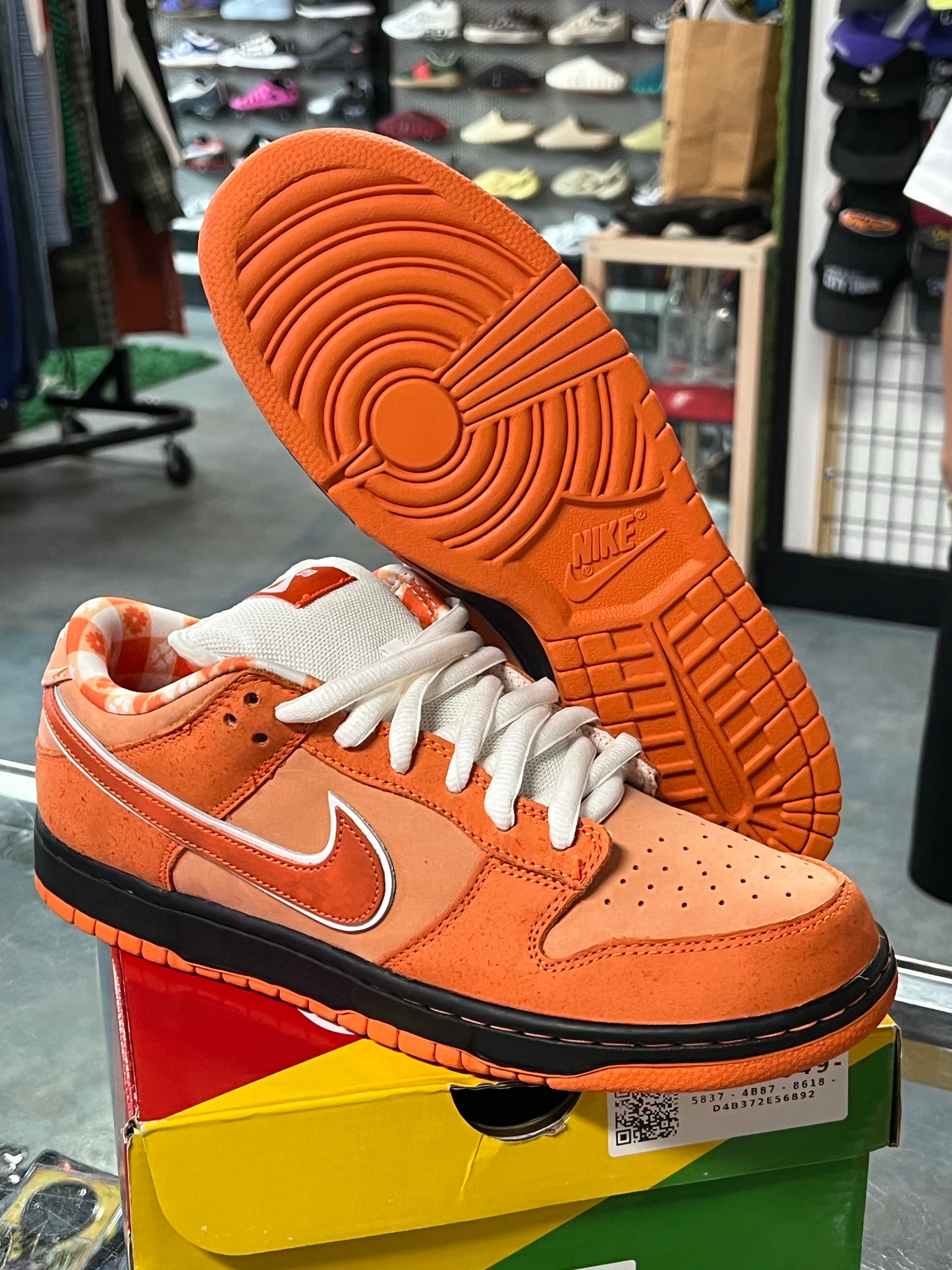Nike SB Dunk Low Concepts Orange Lobster