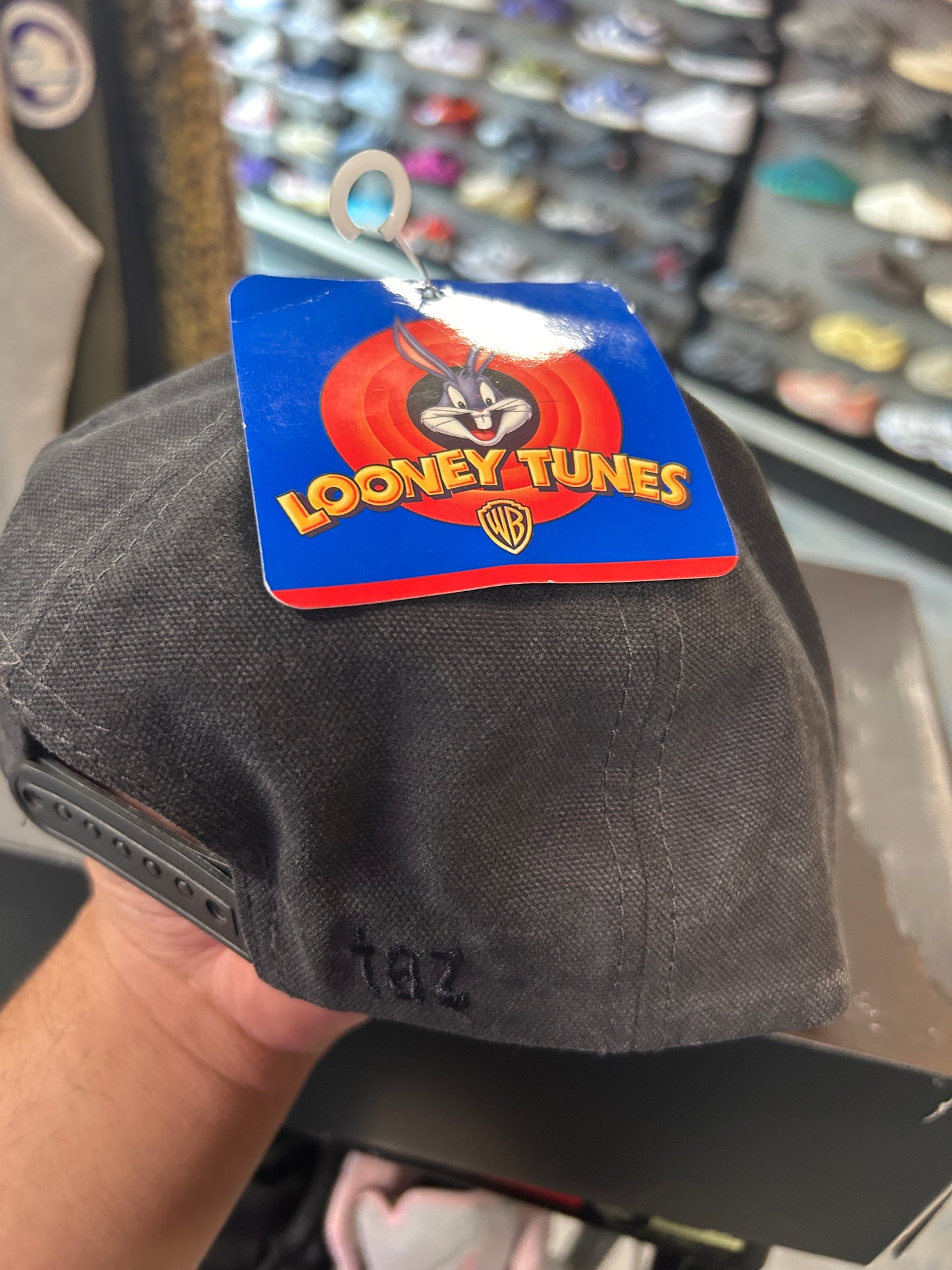 VTG 1995 Looney Tunes TAZ Tasmanian Devil Snapback Hat OTF