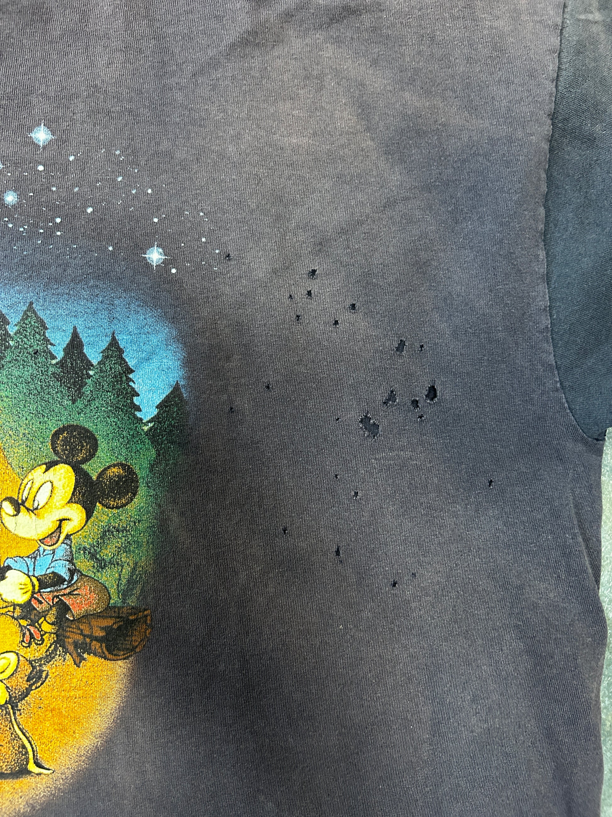 Walt Disney World "Disney's Fort Wilderness"  (RI.AC) B61