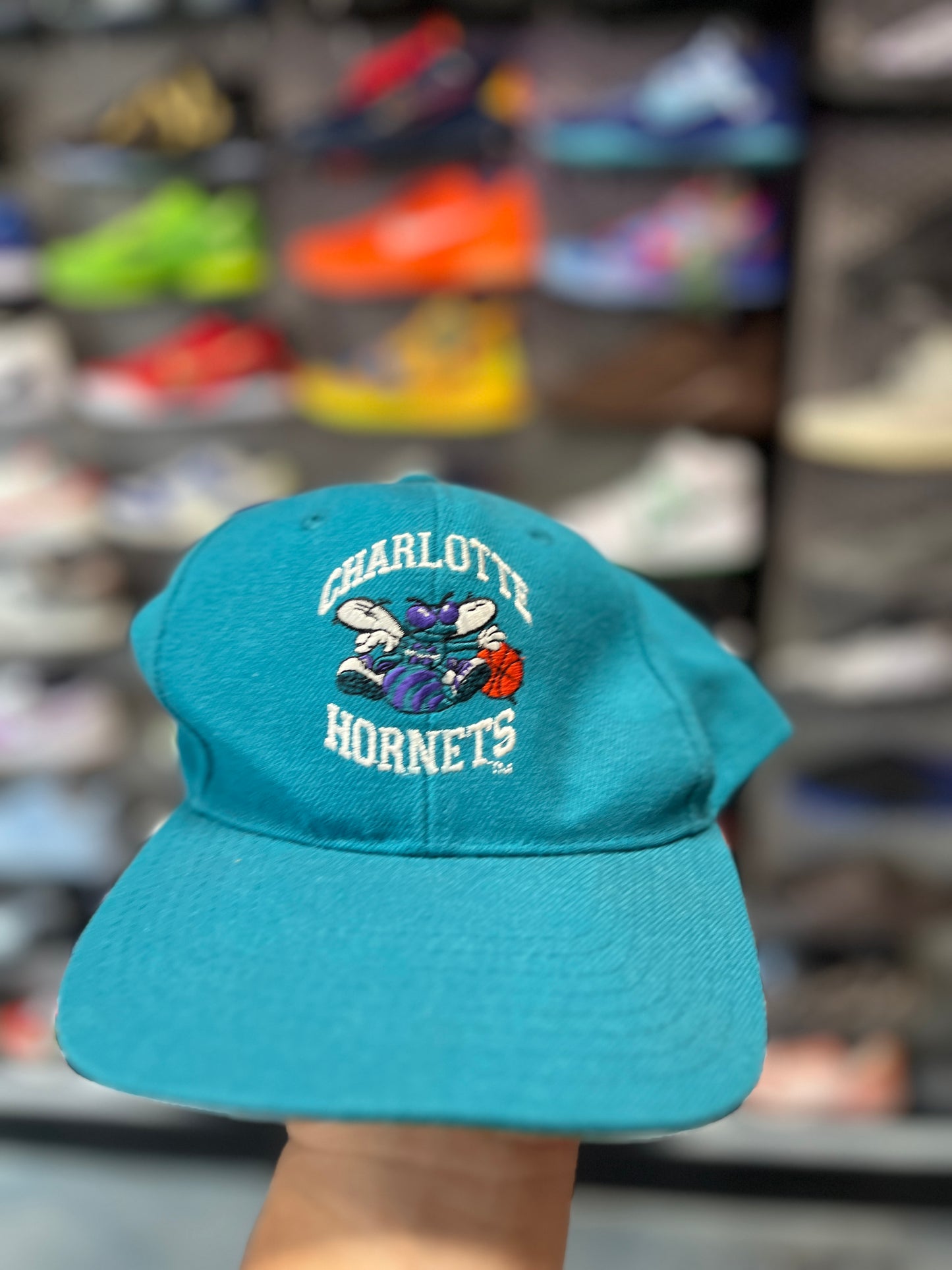 Charlotte Hornets Flex Fitted Cap Hat NBA OTF