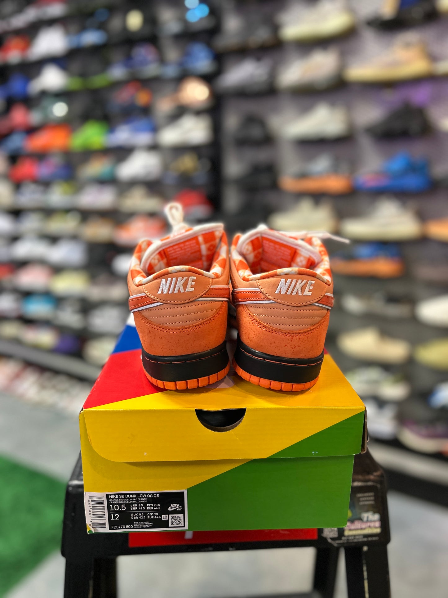 Nike SB Dunk Low Concepts Orange Lobster (Special Box)