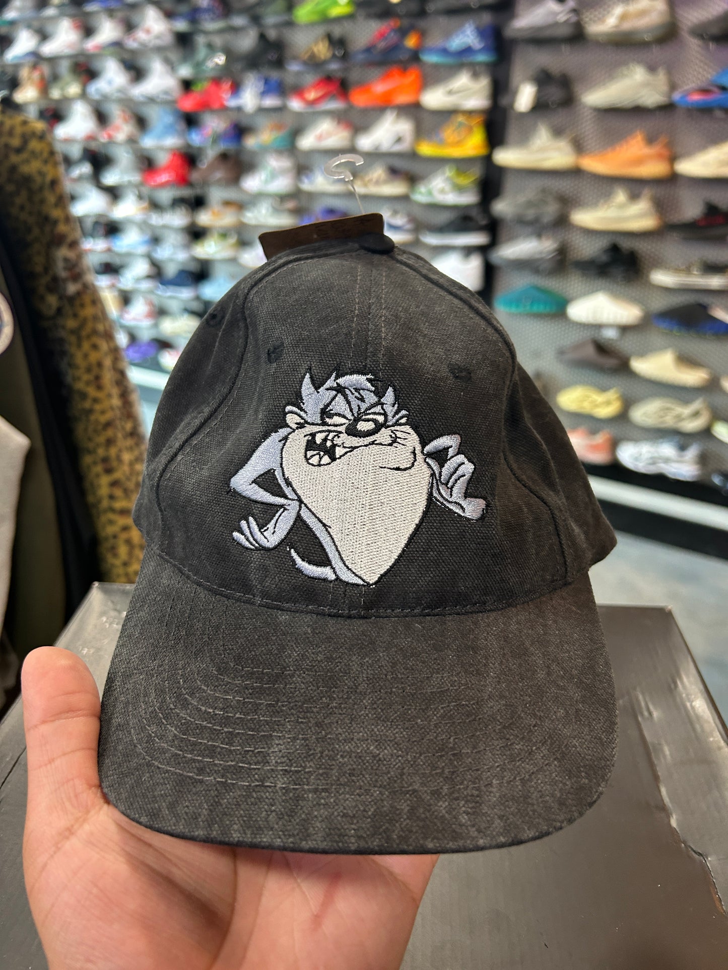 VTG 1995 Looney Tunes TAZ Tasmanian Devil Snapback Hat OTF