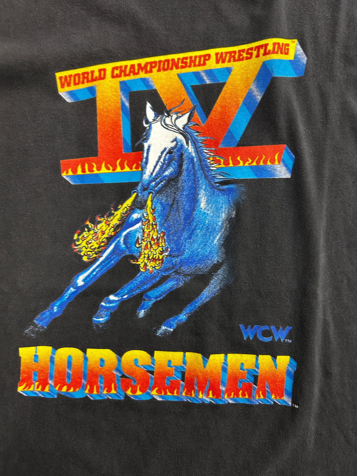 Vintage World Championship Wrestling Horseman Black Tee