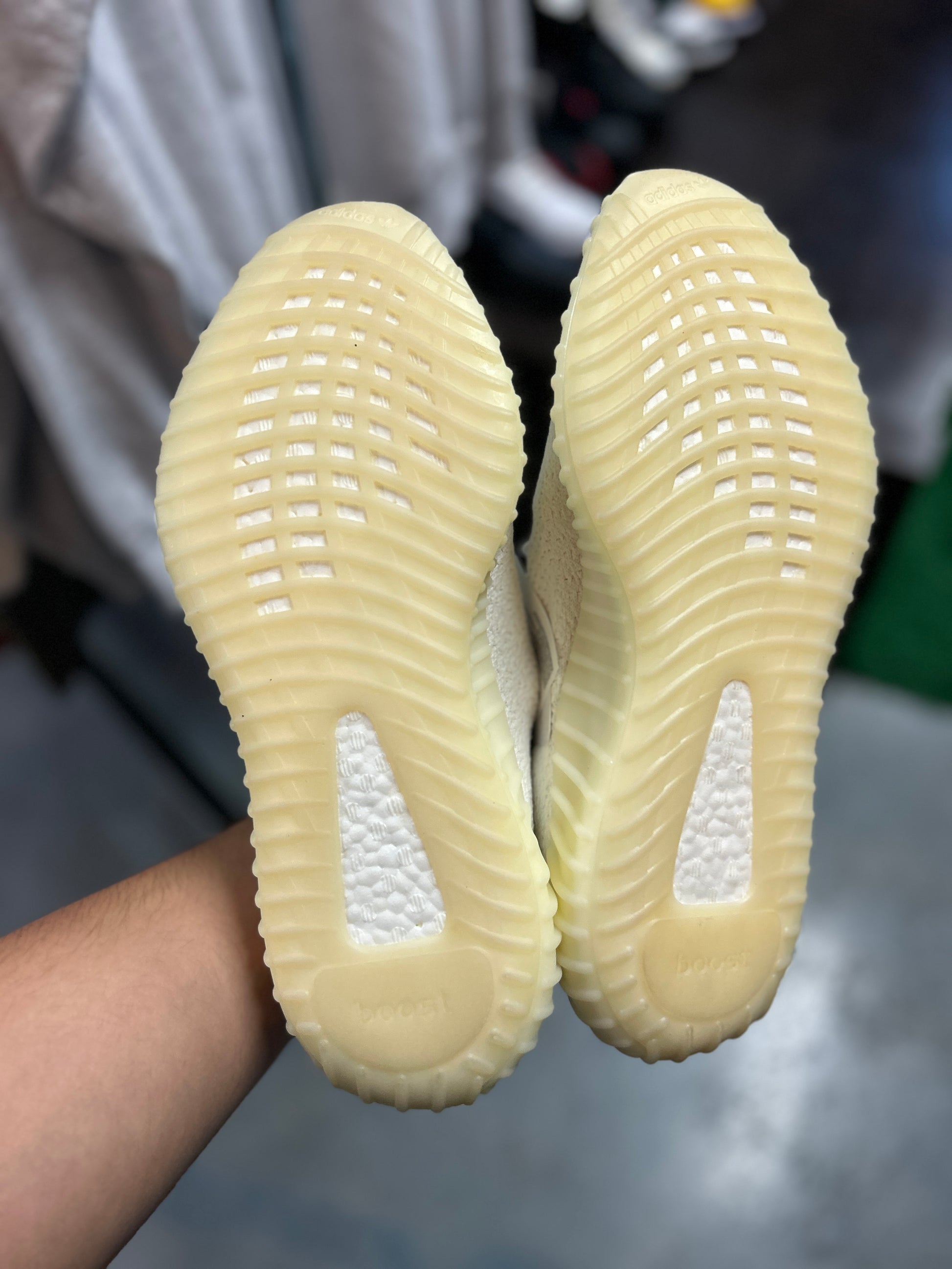 adidas Yeezy Boost 350 V2 Cream Tried On (RCC)