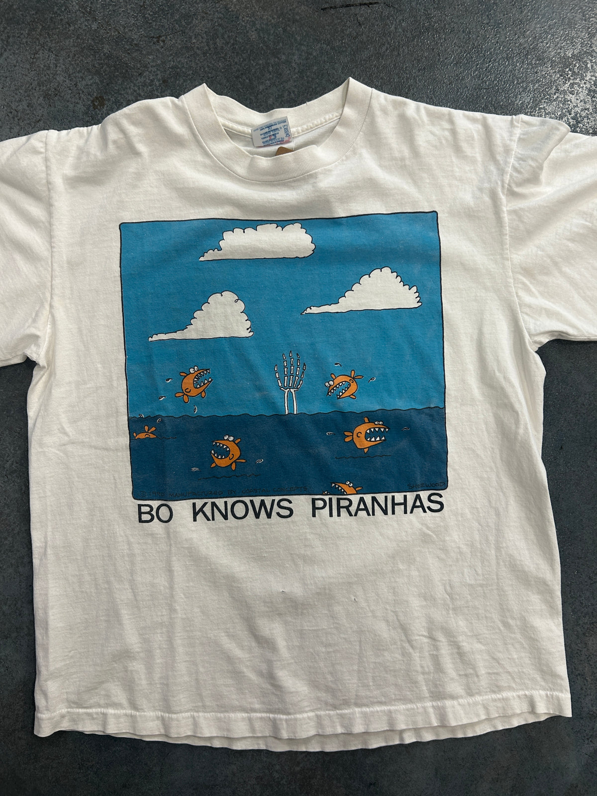 Fishes eating Human Tee OTF