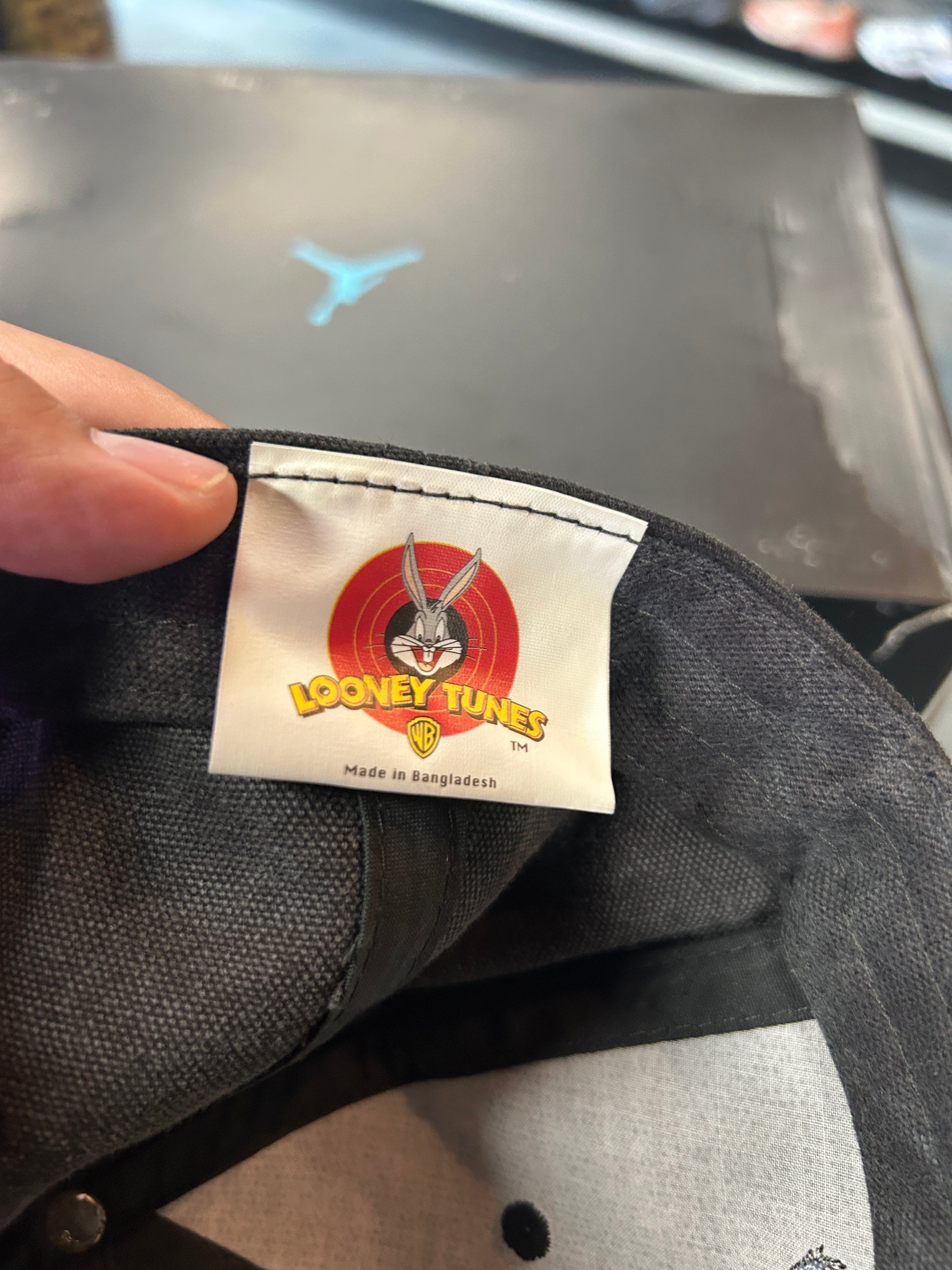 VTG 1995 Looney Tunes TAZ Tasmanian Devil Snapback Hat OTF