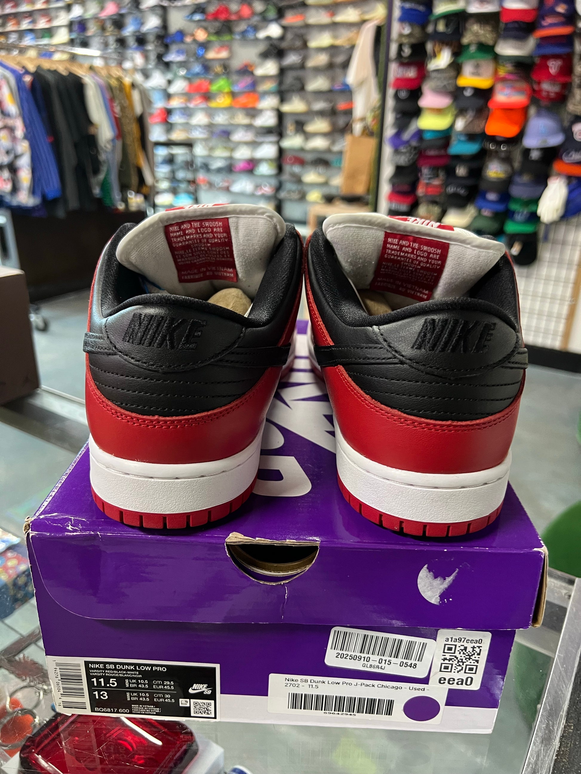 Nike SB Dunk Low Pro J-Pack Chicago