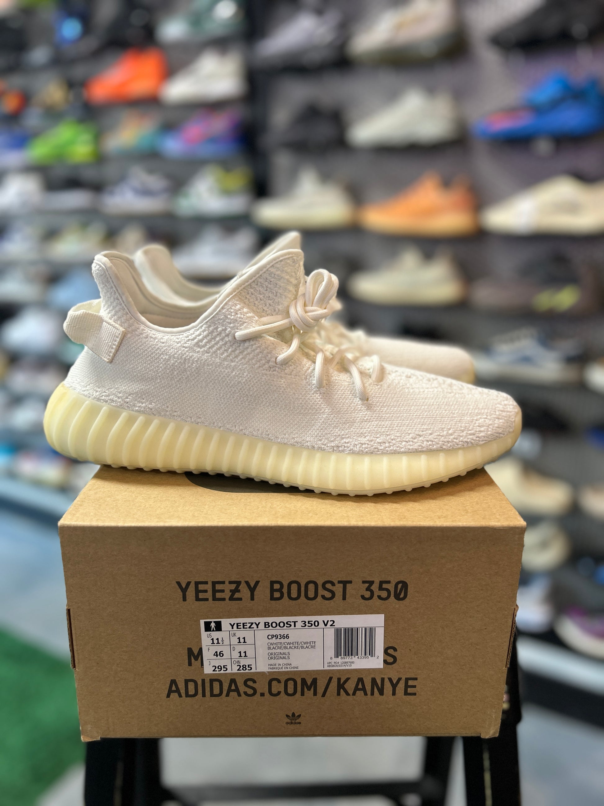 adidas Yeezy Boost 350 V2 Cream Tried On (RCC)
