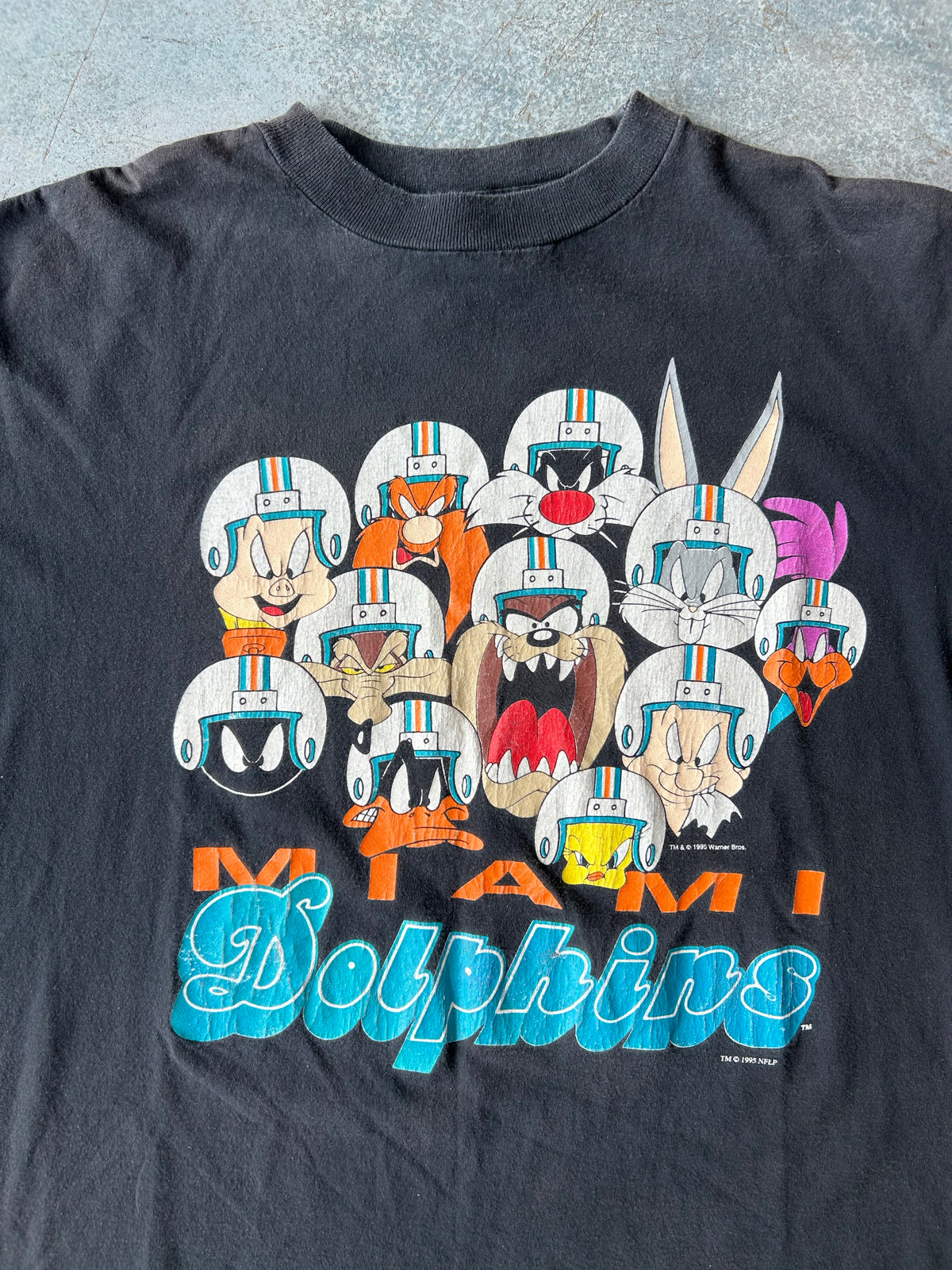 Vintage Miami Dolphins Looney Toons Team OTF
