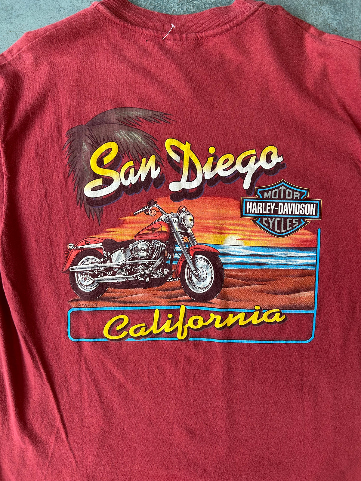 Harley Davidson Ride with the Wind eagle Tee OTF